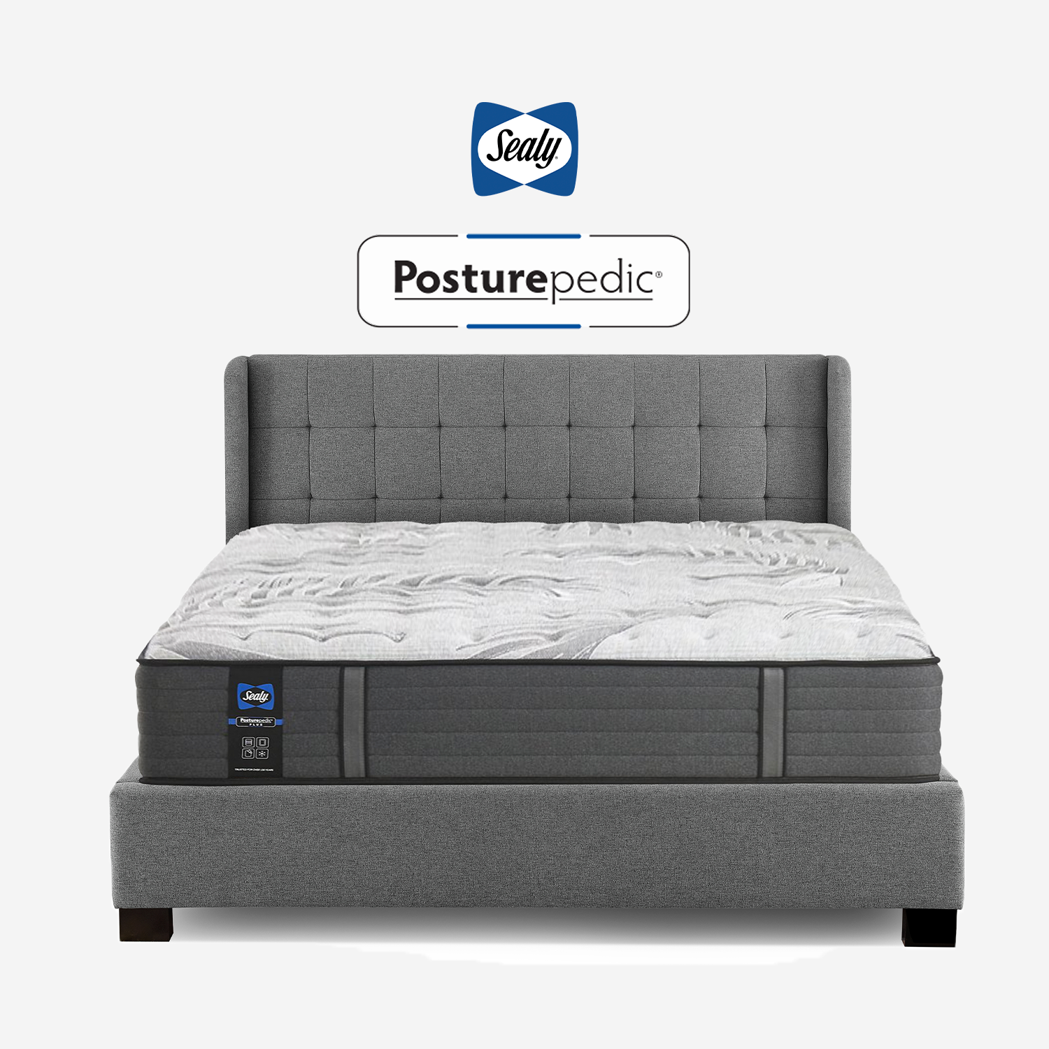 Sealy mattress center deals