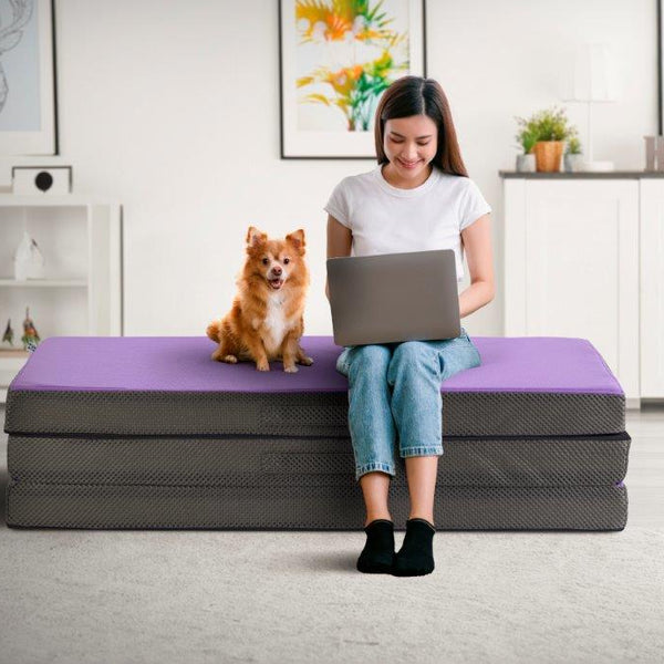 LavenderInfuseMemoryFoam_LS_60